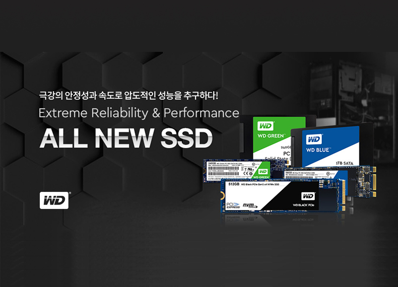 WD SSD