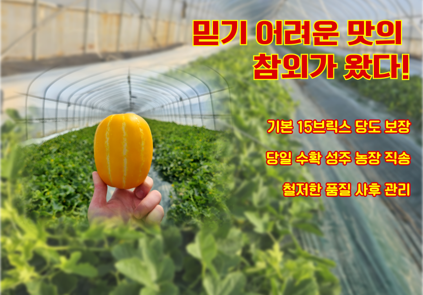 산지직송 명품 성주 꿀참외 가정용 못난이 참외 5kg 참외는 맛있는 과일임을 입증하겠습니다 - 옥션
