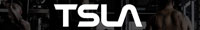 테슬라(TSLA)